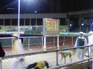 100109-204844.jpg