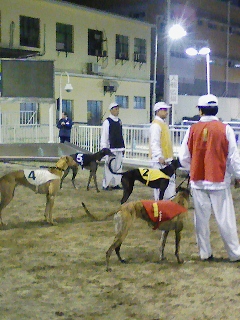 100109-205118.jpg