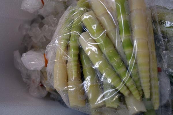 新入荷や旬を迎える野菜たち】ネマガリダケってタケノコの子供