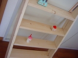 DSC07177.jpg