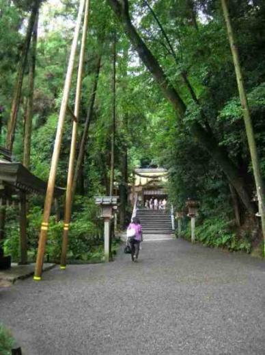 狭井神社遠景