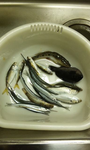 食うっ