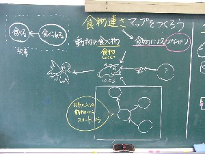 食物連鎖マップをつくろう その１ 授業研究のあしあと 楽天ブログ