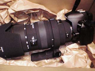 写真部】SIGMA APO 50-500mm F4-6.3 EX DG /HSM | QuadrifoglioSpA