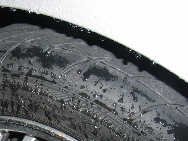 20080111-2.jpg