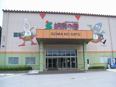 20080727-3