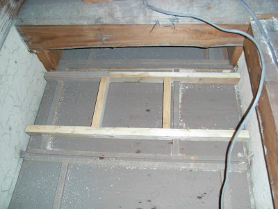 20080719-3.jpg