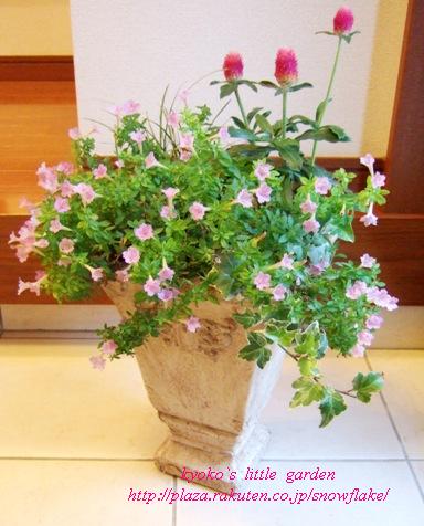 千日紅の寄せ植え Kyoko S Little Garden 楽天ブログ