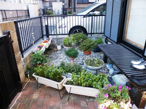 ガーデニング 暖地サクランボ 自宅の庭で咲かせよう 実らせよう 楽天ブログ
