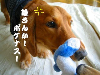 離さんか!ワレ!