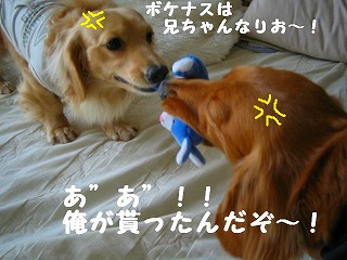 ボケナスって誰やねん!!