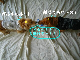離せ~~~~~
