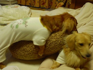 おらぁぁぁぁぁぁ~~!