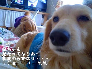 仕事なりって