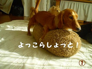 よっこらしょ~っと!