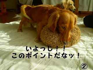 いよっし!