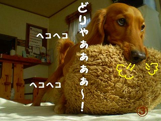 どりゃぁぁぁぁぁぁ~~~~~!!