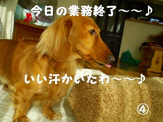 いい汗かいたわ~