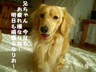 お疲れないお~