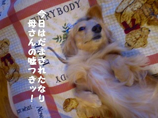騙したなりね~!