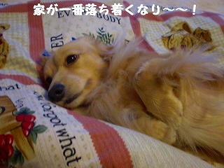 家が一番なりお~