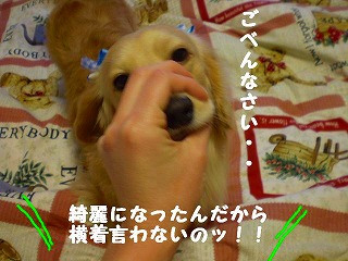 ごべんな”ざい・・・