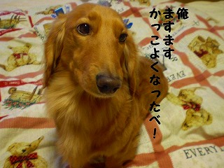 かっこいいべ??