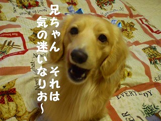 気の迷いなりお~
