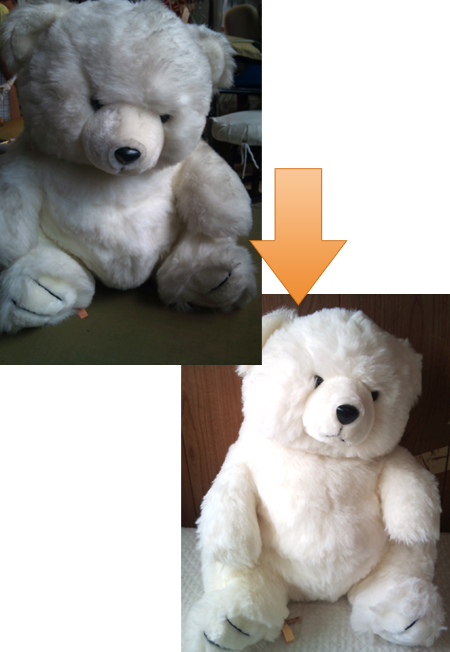 白クマ ぬいぐるみクリーニング 札幌市で頼りになるクリーニング店をお探しなら イチカワクリーニングまでご相談下さい