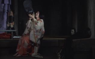 桜の森の満開の下 日々の雑感 楽天ブログ