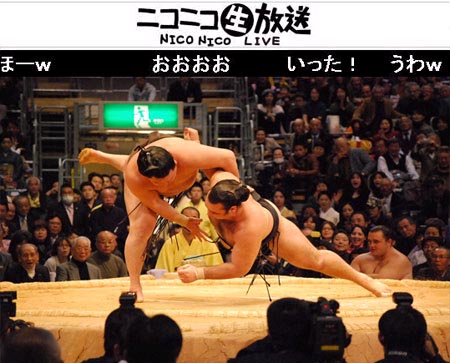 sumo.jpg