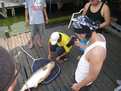 IMG_1248.jpg