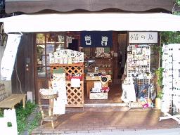 旧軽銀座の猫の店