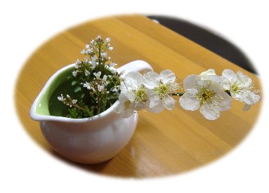 梅070309
