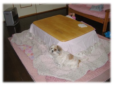 2006こたつ