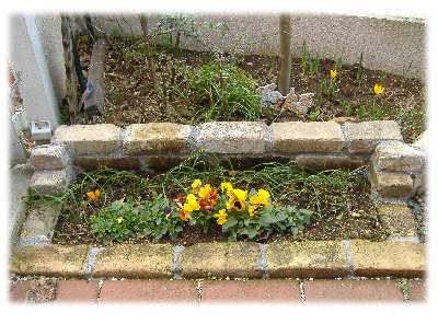玄関の花壇070312