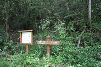 丸山湿原
