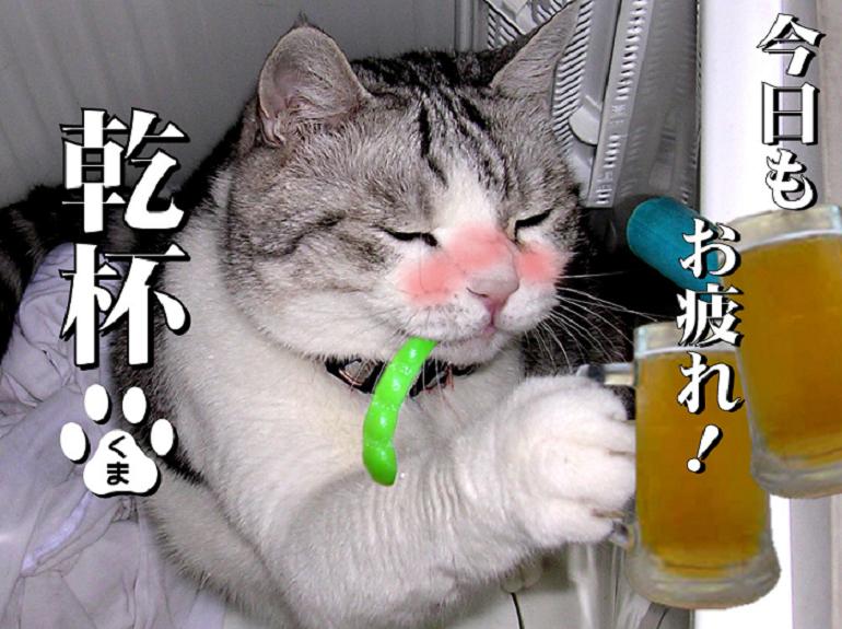 休日なので 猫祭り シャトー ルパン 楽天ブログ