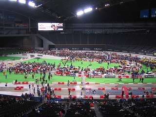 IMG_6132.jpg