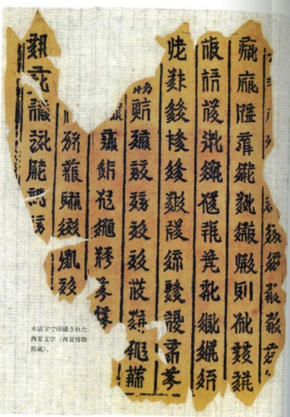 西夏文字の話 シルクロードの謎 中古本・書籍 | ブックオフ公式