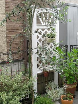 トレリスの設置方法！ Mie* plus 楽天ブログ