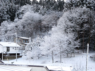 樹氷