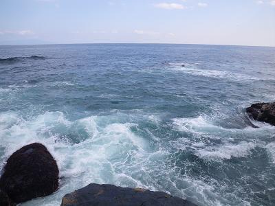 前回のポイントへ 地磯釣行 城ヶ崎 一太郎の磯釣り日記 楽天ブログ