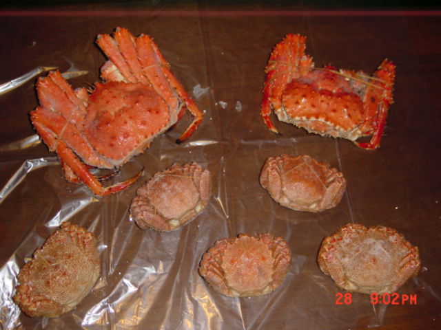 kani