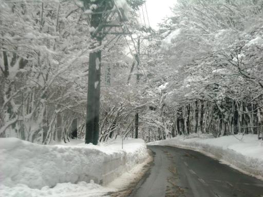 白川郷から帰る道中。。。何処を見ても雪、雪、雪でつ～（b^ｰﾟ)!!(ﾟ∇^d)~~ ﾍﾞﾘｰﾍﾞﾘｰｸﾞｯﾄﾞ