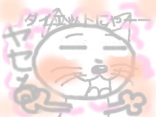 ダイエット.jpg