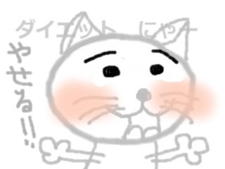 ダイエット.jpg
