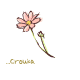 ピンクの花/crouka