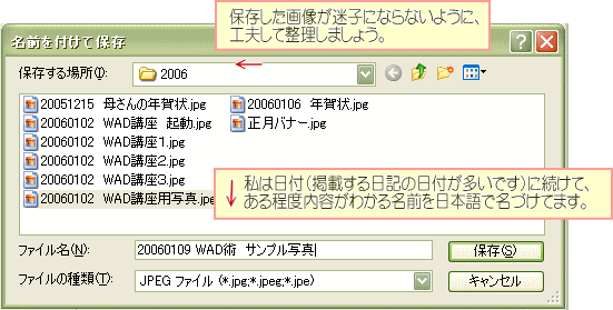 保存6
