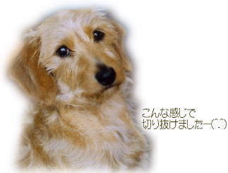切り抜けました♪
